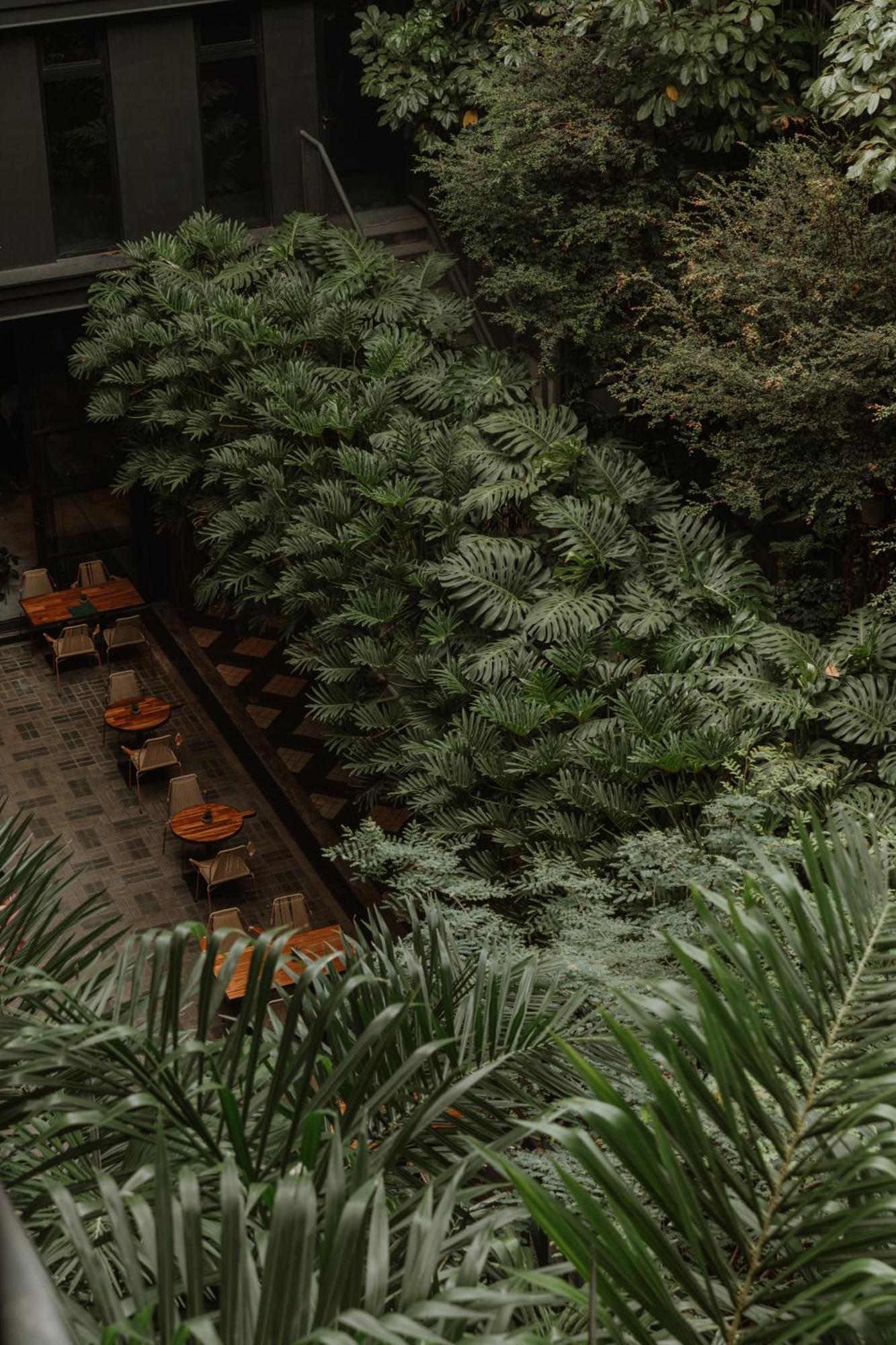 The Click Clack Hotel Medellín Kültér fotó Alpinum